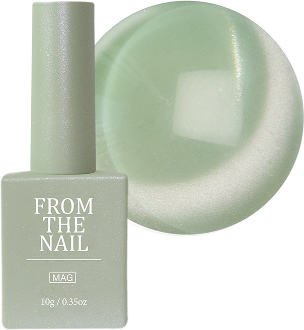 프롬더네일 컬러 젤, FG 251, 10g, 1개