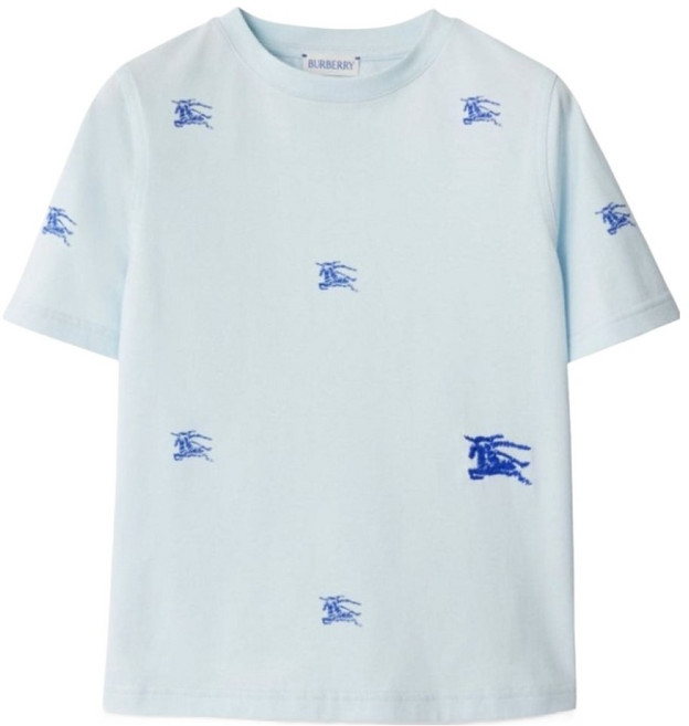 Burberry 男童 Logo 圓領平紋針織短袖T恤 8093201 A3149