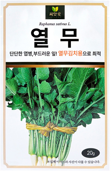 다농 씨앗애 열무 씨앗 20g, 1개