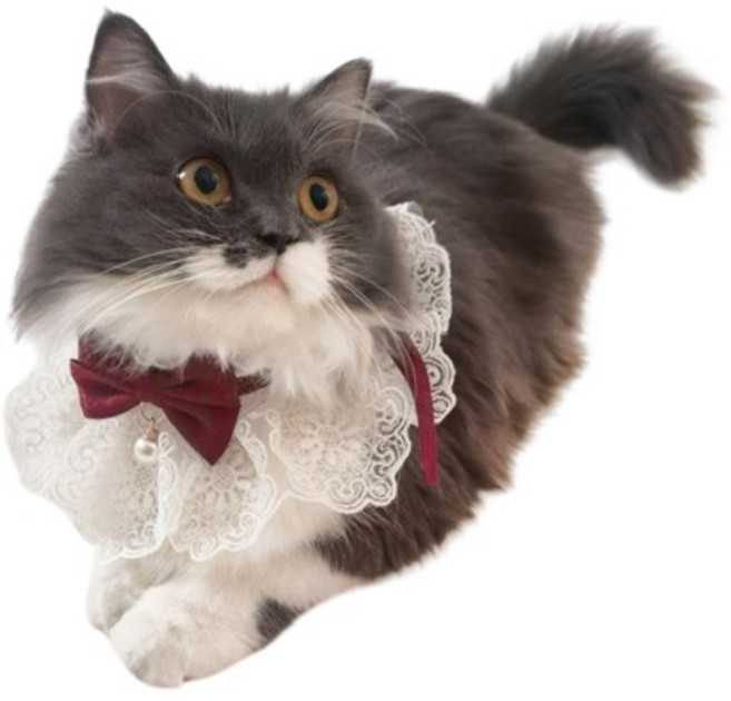 김멍냥 반려동물 레이스 리본 케이프 턱받이, 레드, 1개