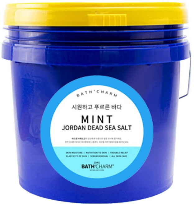 바스참 요르단 사해소금 민트, 10kg, 1개
