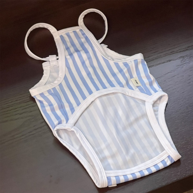 알럽펫 강아지 랑스 스트라이프 원피스 수영복, 블루, 1개