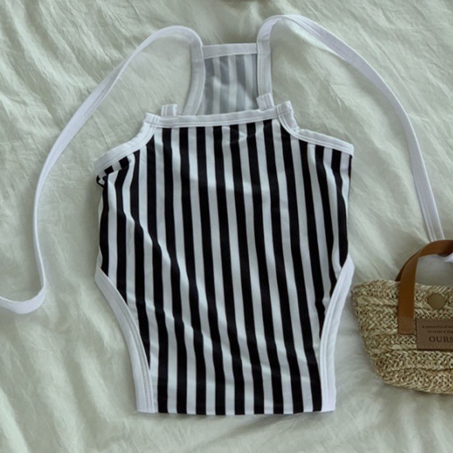 알럽펫 강아지 랑스 스트라이프 원피스 수영복, 블랙, 1개