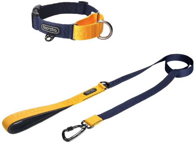 분독 강아지 오리지널리쉬 리드줄 + 카라비너 마틴게일 목줄 세트, 네이비, 1세트