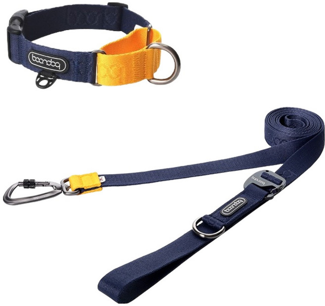 분독 강아지 플레이리쉬 리드줄 + 카라비너 마틴게일 목줄 세트, 네이비, 1세트