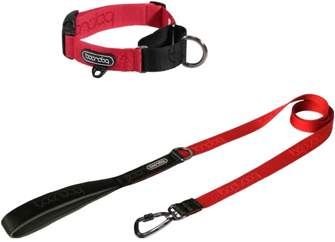 분독 강아지 오리지널리쉬 리드줄 + 카라비너 마틴게일 목줄 세트, 레드, 1세트