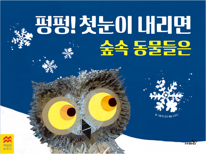 펑펑! 첫눈이 내리면 숲속 동물들은, 팀 합굿 글그림/고영이 역, 사파리