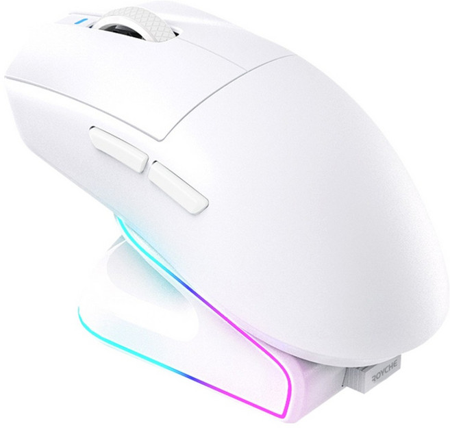 로이체 충전독 + RGB 게이밍 무선 마우스 세트 RDM-G510 WH, WHITE