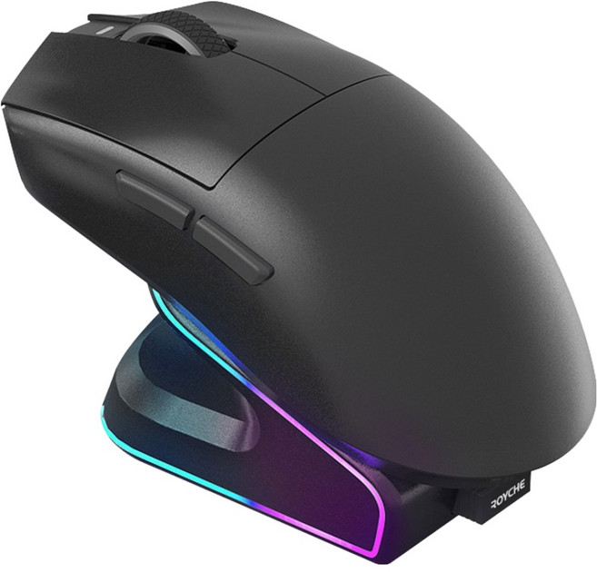 로이체 충전독 + RGB 게이밍 무선 마우스 세트 RDM-G510 BK, BLACK