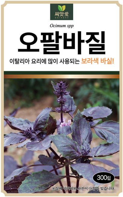 다농 씨앗애 오팔바질 씨앗 300p, 1개
