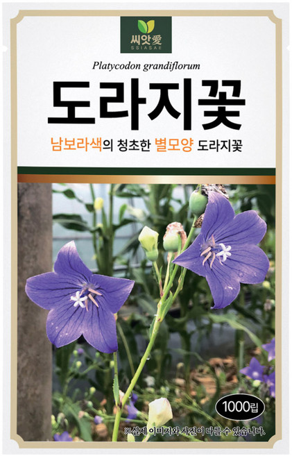 다농 씨앗애 도라지꽃 씨앗 1000p, 1개