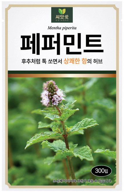 다농 씨앗애 페퍼민트 씨앗 300p, 1개