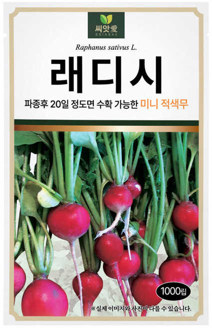 다농 씨앗애 래디시 씨앗 1000p, 1개