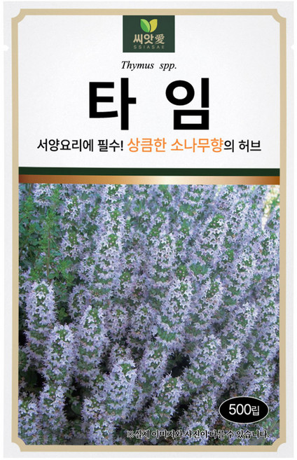 다농 씨앗애 타임 씨앗 500p, 1개