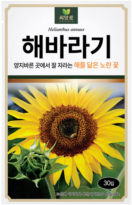 다농 씨앗애 해바라기 씨앗 30p, 1개