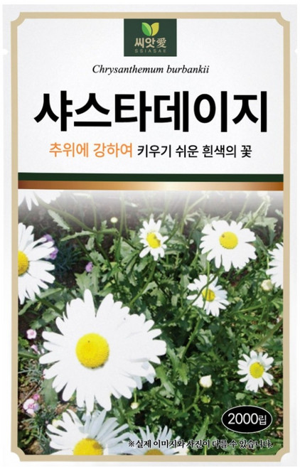 다농 씨앗애 샤스타데이지 씨앗 2000p, 1개