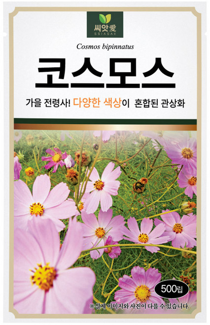 다농 씨앗애 코스모스 씨앗 500p, 1개