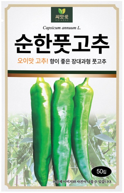다농 씨앗애 순한풋고추 씨앗 50p, 1개