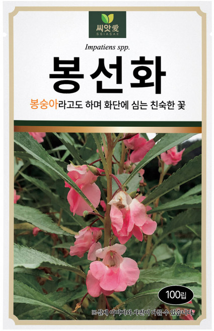 다농 씨앗애 봉선화 씨앗 100p, 1개