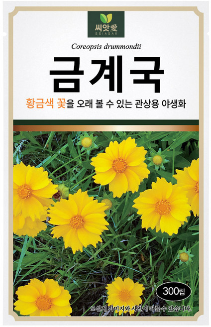 다농 씨앗애 금계국 씨앗 300p, 1개