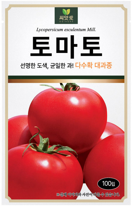 다농 씨앗애 토마토 씨앗 100p, 1개