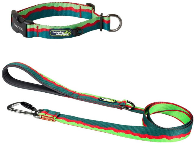 분독 강아지 어드벤처 리쉬 + 목줄 세트, 그린, 그린, 1세트