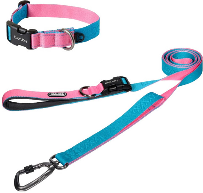 분독 강아지 플레이리쉬 + 카라비너 목줄 세트, 아쿠아핑크, 아쿠아핑크, 1세트