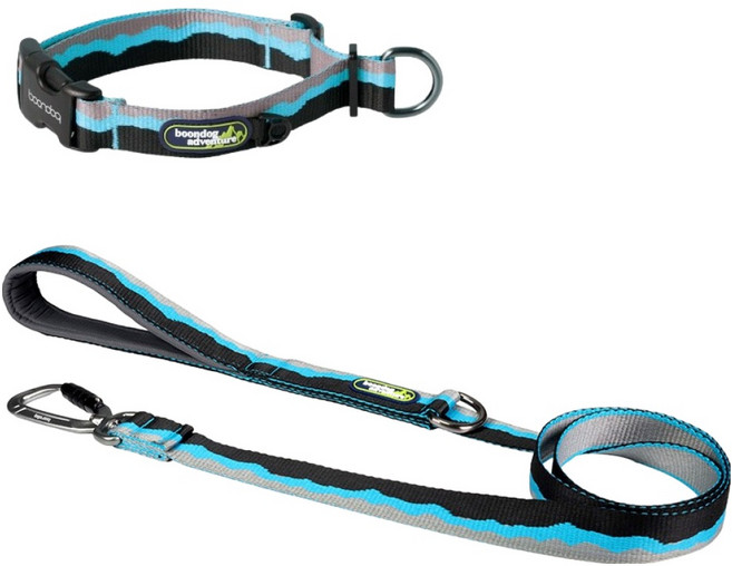 분독 강아지 어드벤처 리쉬 + 목줄 세트, 블루, 블루, 1세트