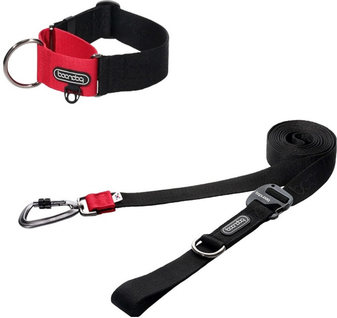 분독 플레이리쉬 리드줄 + 카라비너 와이드 목줄 세트, 블랙, 1세트