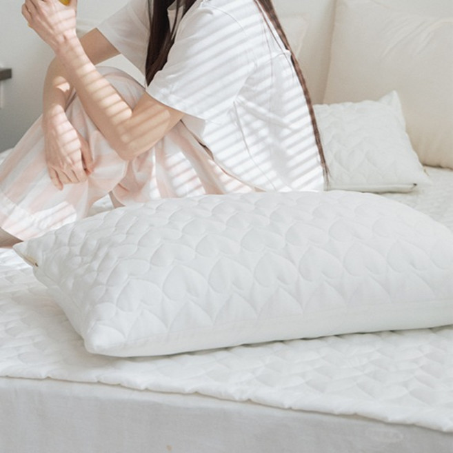 베베데코 듀라론 히말라야 냉감 베개커버