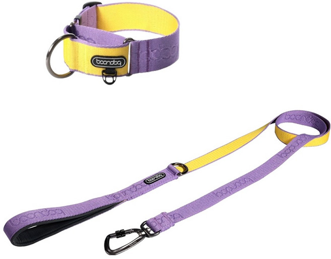 분독 강아지 오리지널 리쉬 리드줄 + 카라비너 와이드 목줄 세트, 퍼플레몬, 1세트