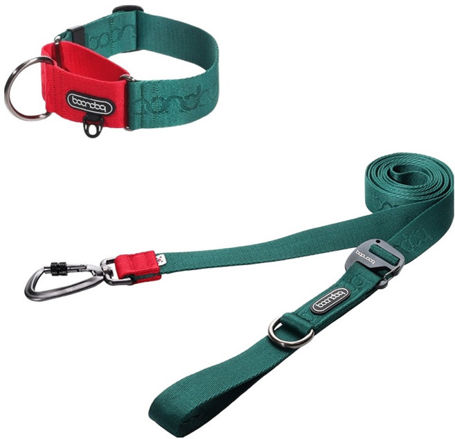 분독 강아지 플레이 리쉬 리드줄 + 카라비너 와이드 목줄 세트, 그린, 1세트