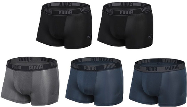 푸마바디웨어 빅사이즈 포함 남성용 소프트메쉬 스킨 인견 드로즈 팬티 5종 세트