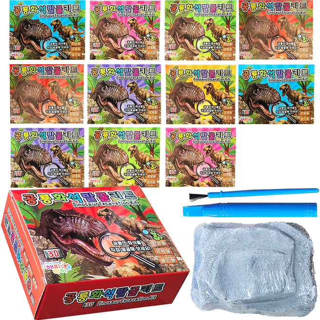 해피아이 공룡 화석 발굴 키트 12종 세트, 1세트