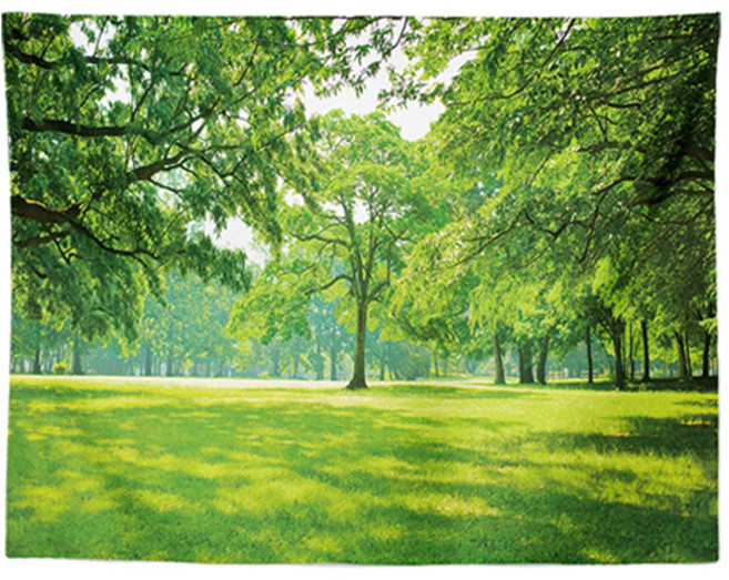 홈플로우 평온한 자연 숲 풍경 홈인테리어 태피스트리, Q