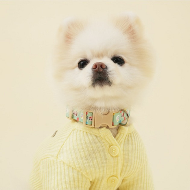 힛찌 강아지 초경량 패턴 소프트 목줄, 옐로우민트, 1개