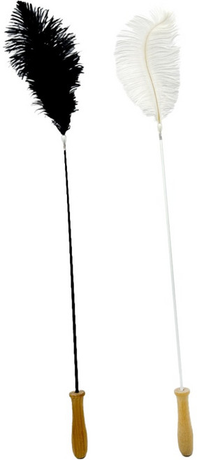 둥둥펫 고양이 2단 스윙 낚시대 자이언트 타조깃털 2종 세트, 블랙, 화이트, 1세트