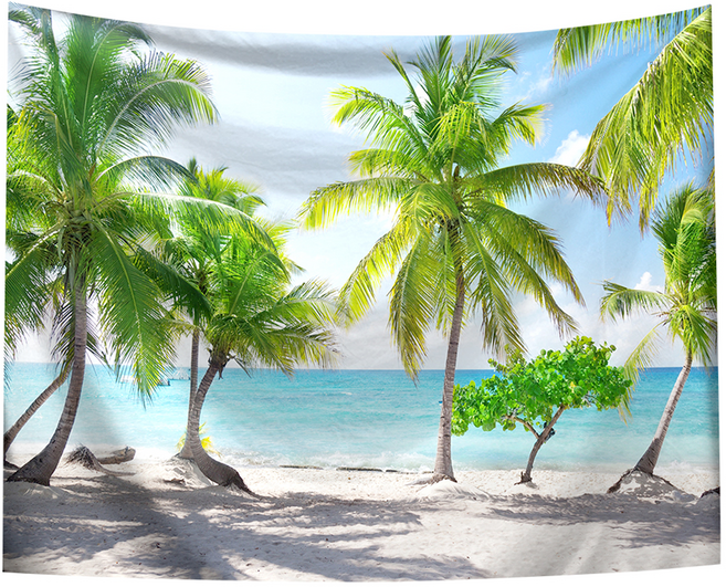 半島良品 居家裝飾掛布 附無痕釘2個 + 倒鉤夾2個, 藍天夏季