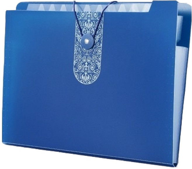 올인셀 데일리 아코디언파일 12칸 A4, 다크블루, 1개