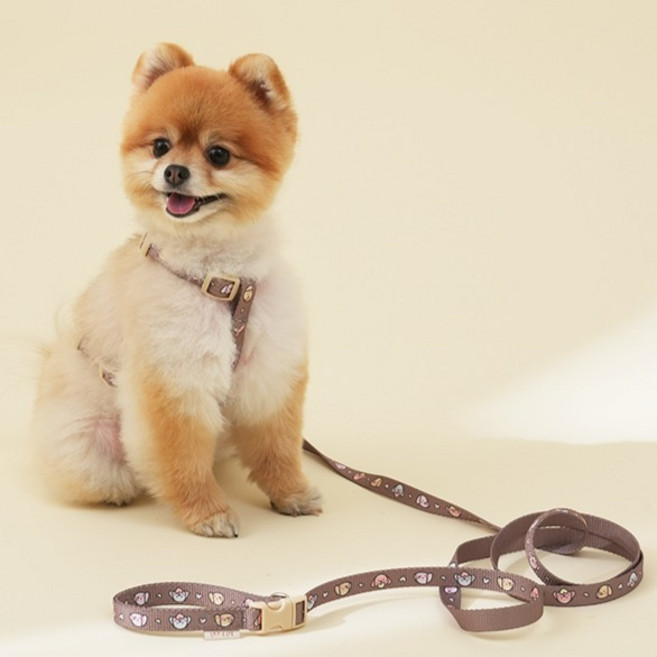 힛찌 강아지 패턴 부드러운 핸즈프리 리드줄, 코코아 브라운, 1개