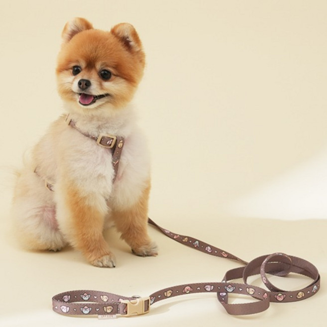 힛찌 강아지 패턴 부드러운 핸즈프리 리드줄, 코코아 브라운, 1개