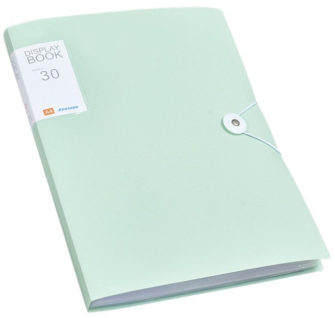 통근창고 문서보관 아코디언 파일 케이스 310 x 230 mm 30p, 그린, 1개