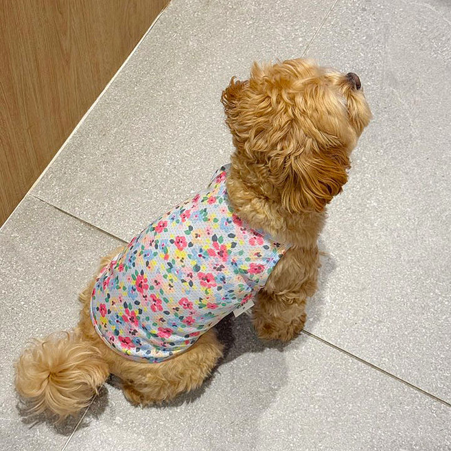 쥬비코 강아지 안티버그 해충방지 쿨매쉬 슬리브리스, 블루, 1개