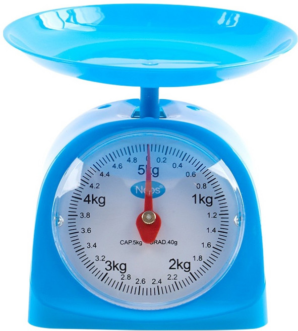 캐스비 네이처 교육용 앉은뱅이 저울 5kg, 1개