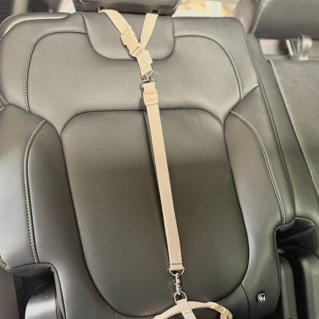 힛찌 강아지 차량용 안전 리드줄, 1개, 베이지