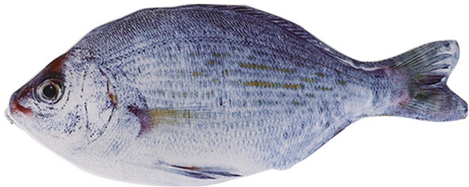 아트조이 리얼 생선 필통, 파랑, 1개