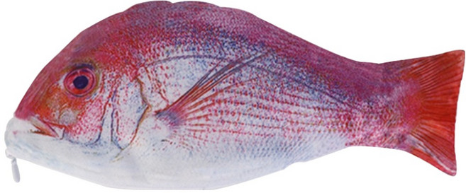 아트조이 리얼 생선 필통, 빨강, 1개