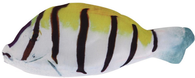 아트조이 리얼 생선 필통, 노랑, 1개