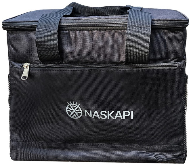 나스카피 소프트 모빌리티 쿨러백, 블랙, 17L