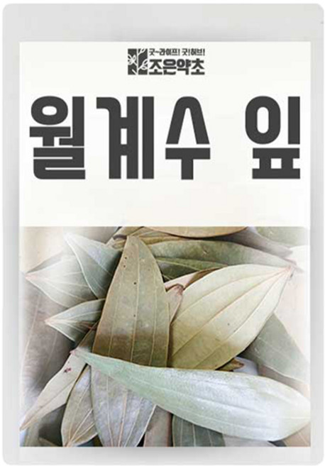 조은약초 월계수 잎, 150g, 1개